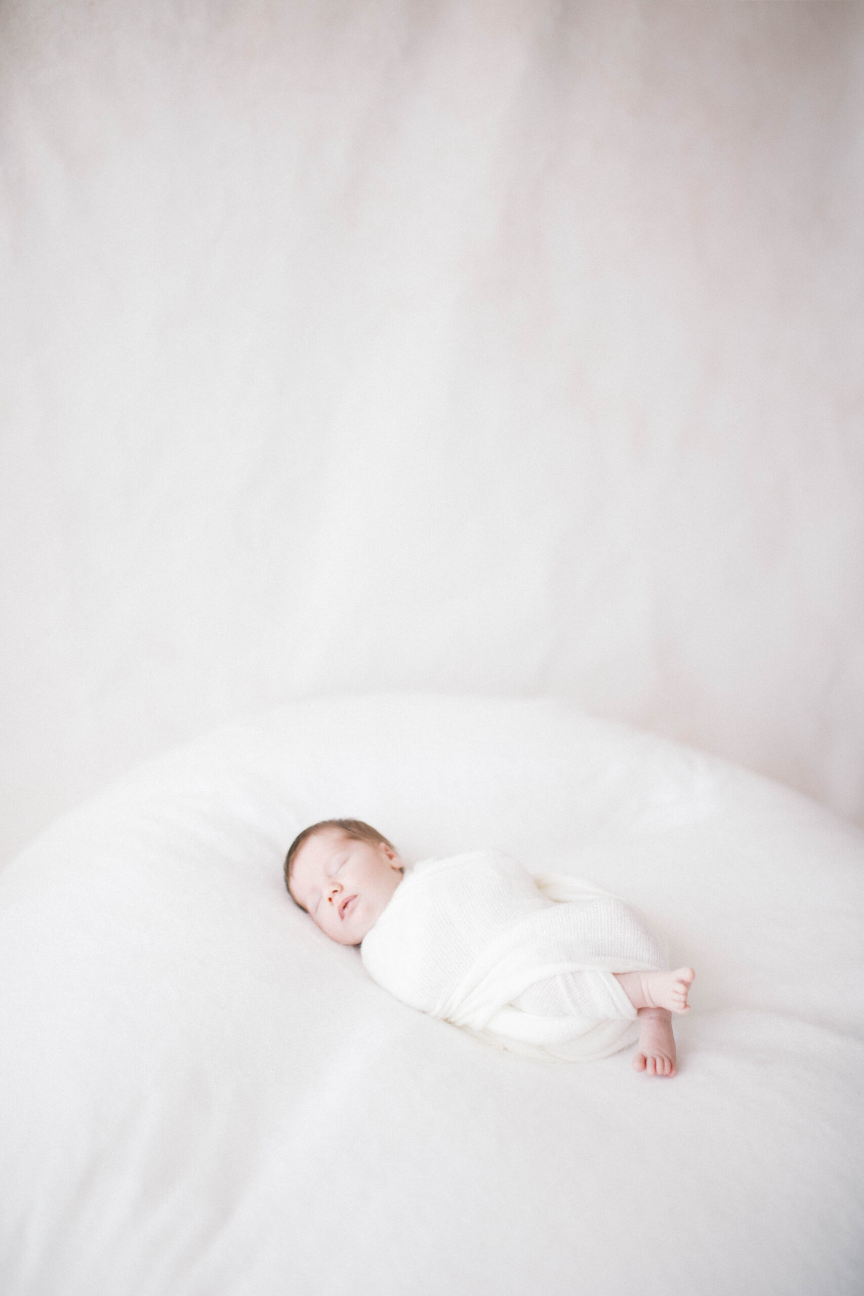 Portrait of newborn boy asleep in a white swaddle against a white and neutral backdrop in a Jacksonville studio