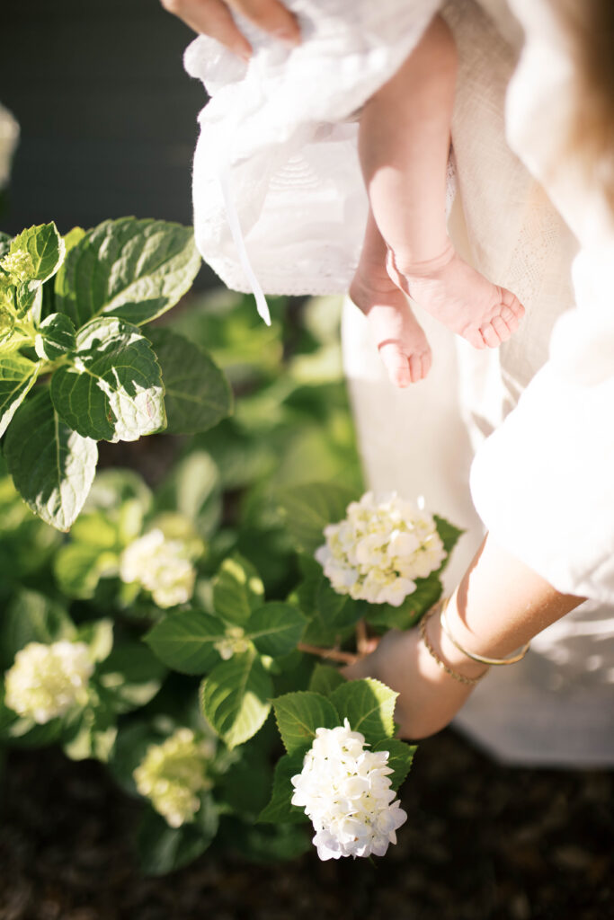 close up shot of mom playing with white hydrangeas as her baby's feet dangle from her other arm
